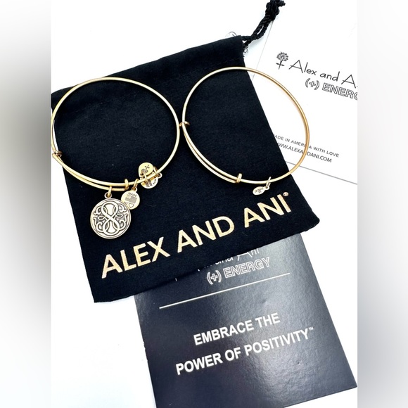 Alex and Ani Bracelet Pack NWT - Picture 4 of 4